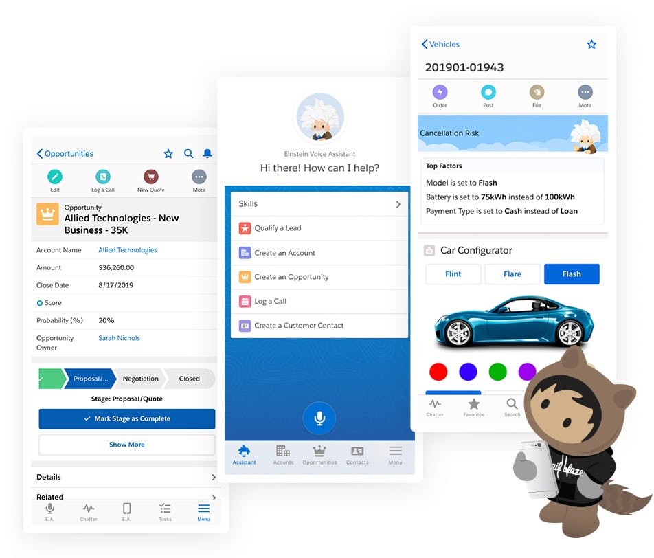 CRM MASTERS SALESFORCE
