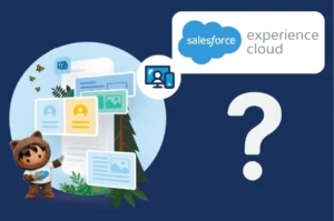 What is Salesforce Experience Cloud?