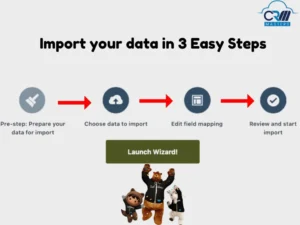 Salesforce Data Import Wizard