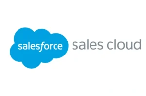 Salesforce sales cloud customization 