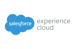 Salesforce experience cloud customization 