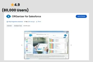 Salesforce ORGanizer